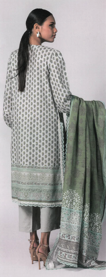 Paste Printed Khaddar Suit