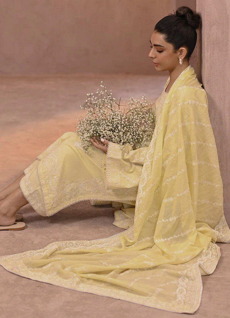 Butter yellow embroidered suit