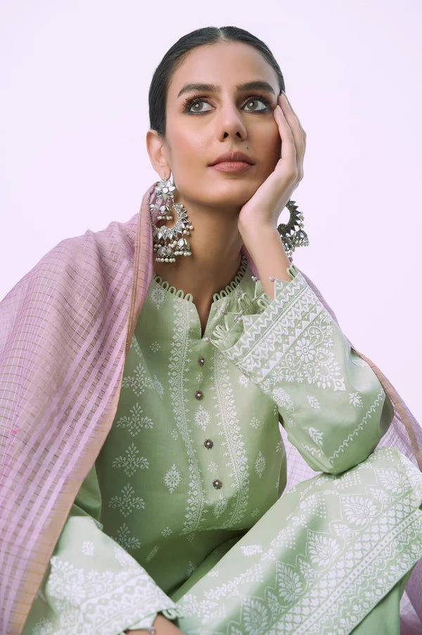Green Printed Lawn Suit