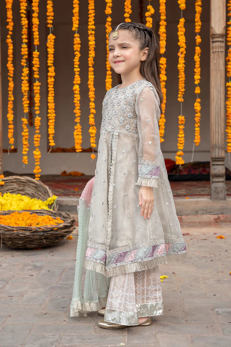 Grey Embroidered Frock