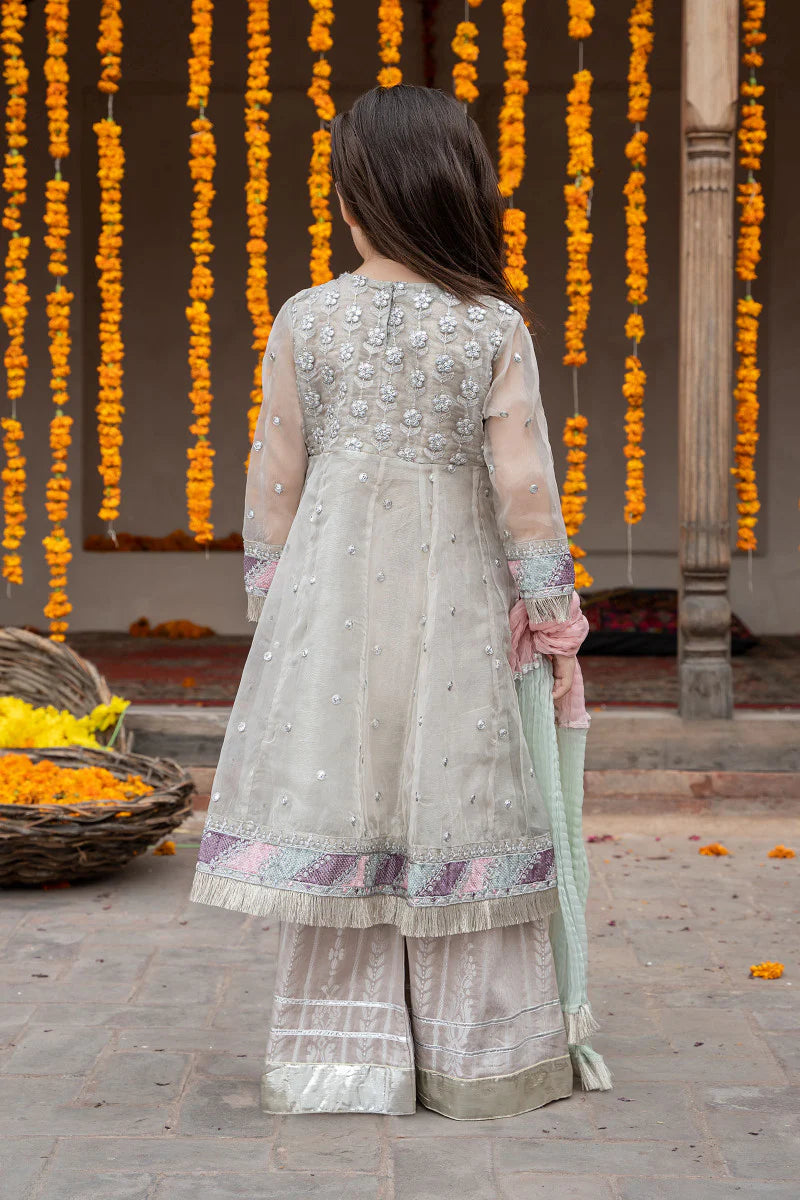 Grey Embroidered Frock