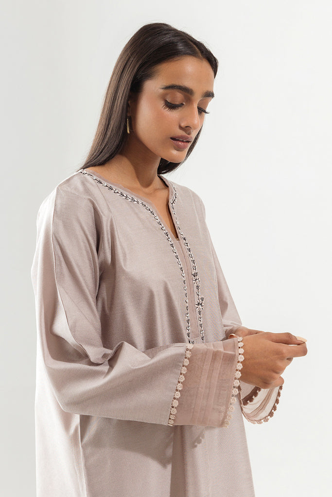 Embroidered Organza Suit