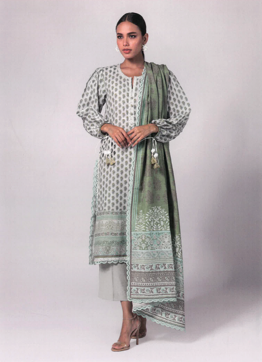 Paste Printed Khaddar Suit