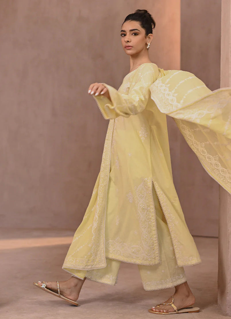 Butter yellow embroidered suit