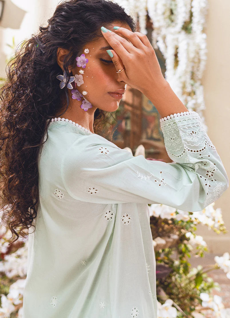 Ice green embroidered co-ord suit