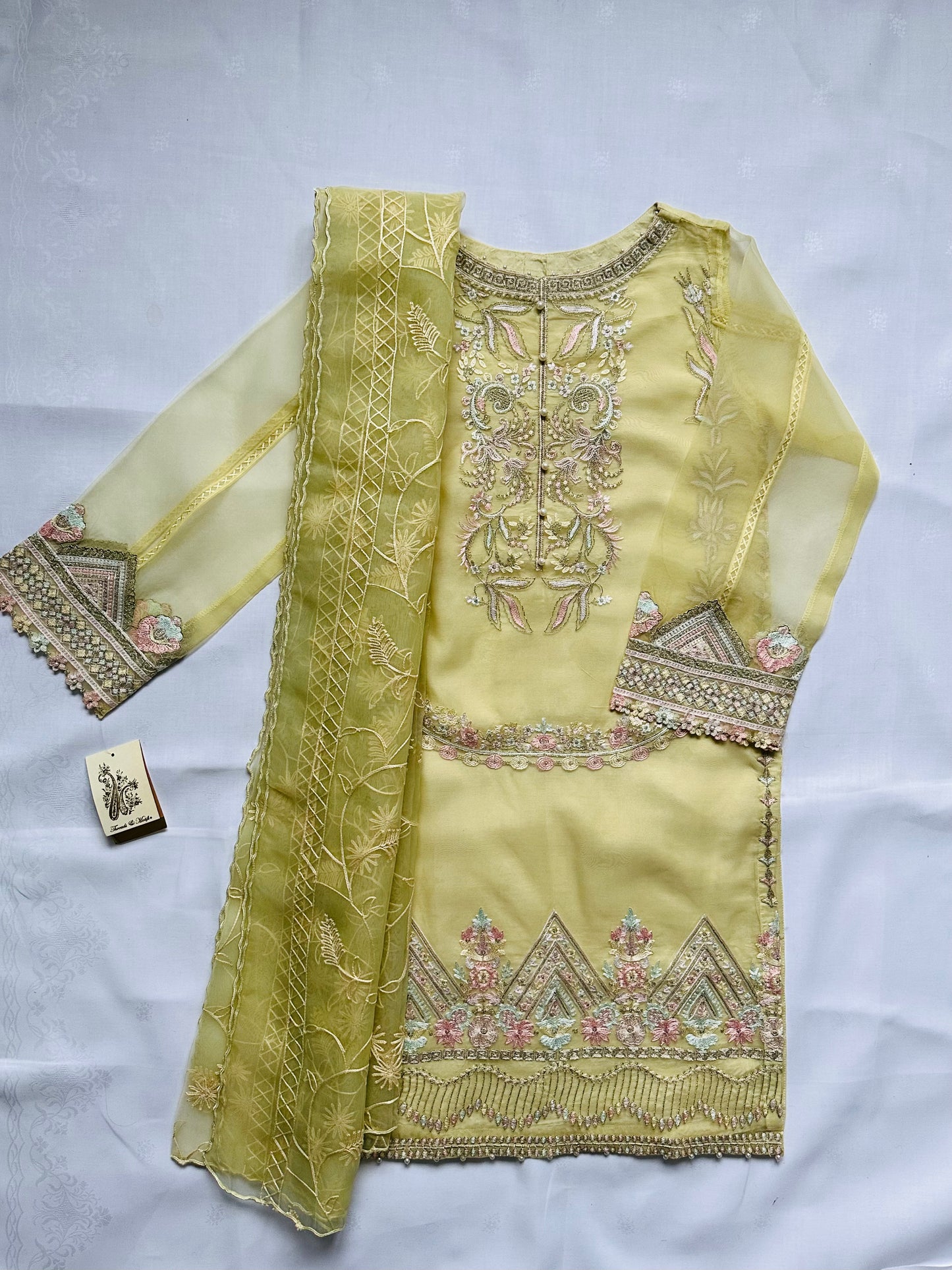 Yellow Embroidered Organza Suit