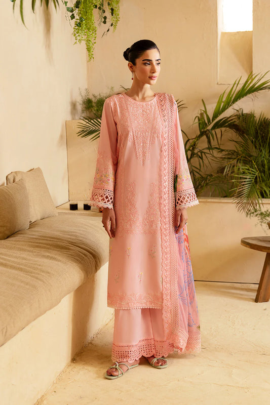 Light Pink Cambric Cotton Suit