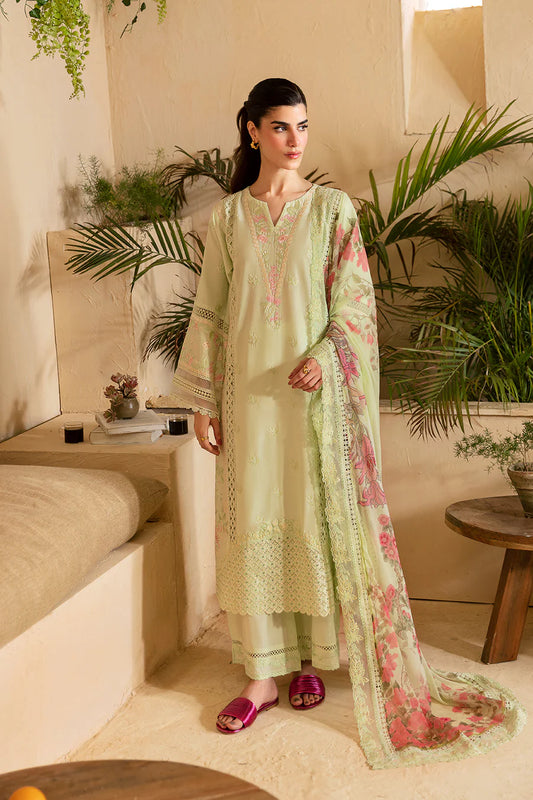 Light Green Cambric Cotton Suit