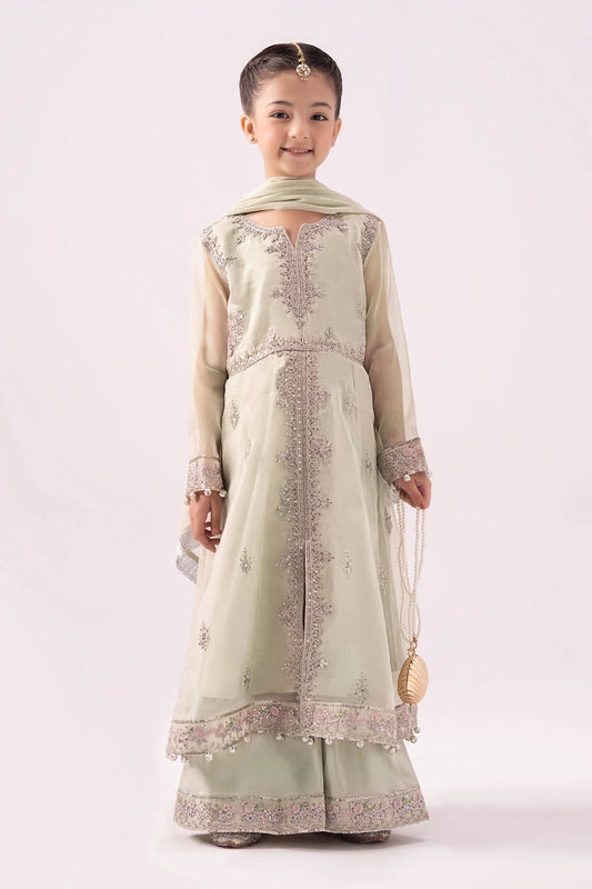 3 Piece Embroidered Organza Suit