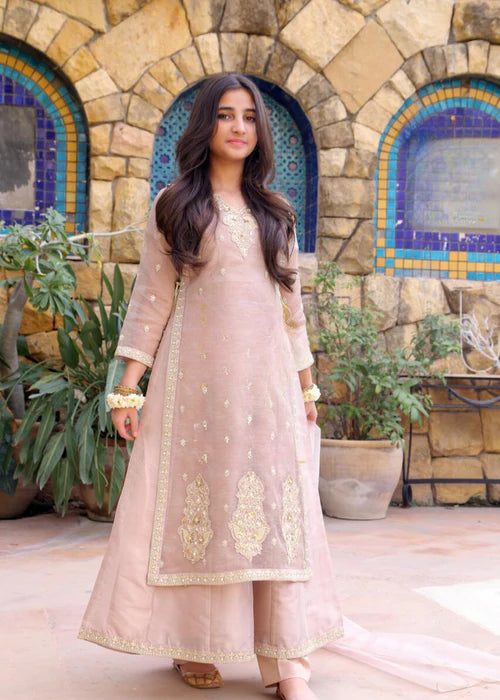 Embroidered Net Suit