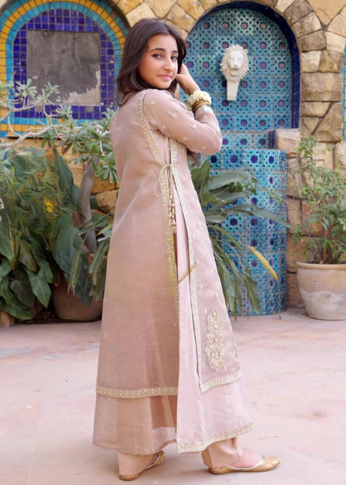 Embroidered Net Suit
