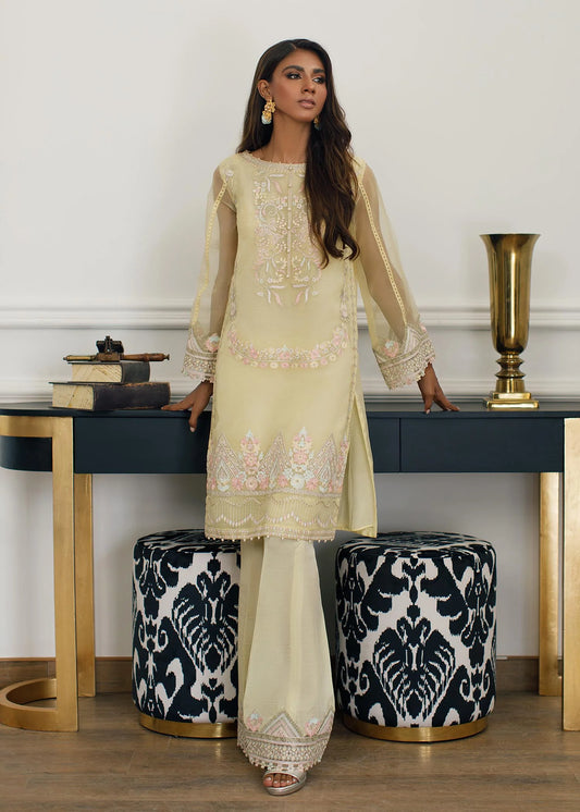 Yellow Embroidered Organza Suit
