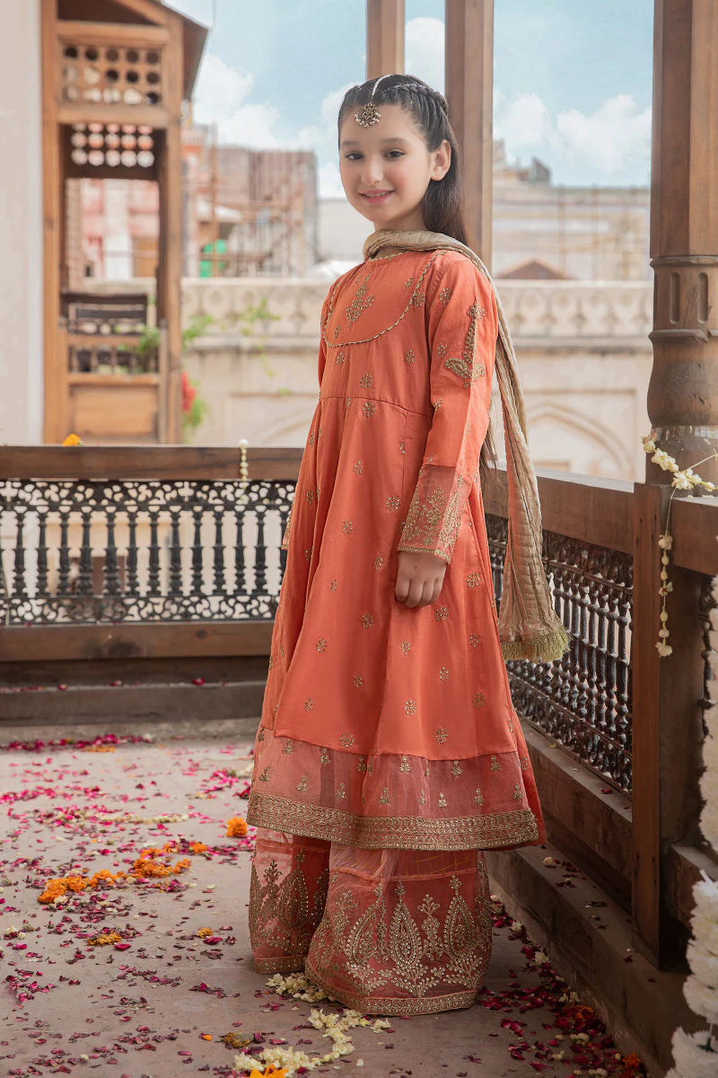 Peach Embroidered Frock